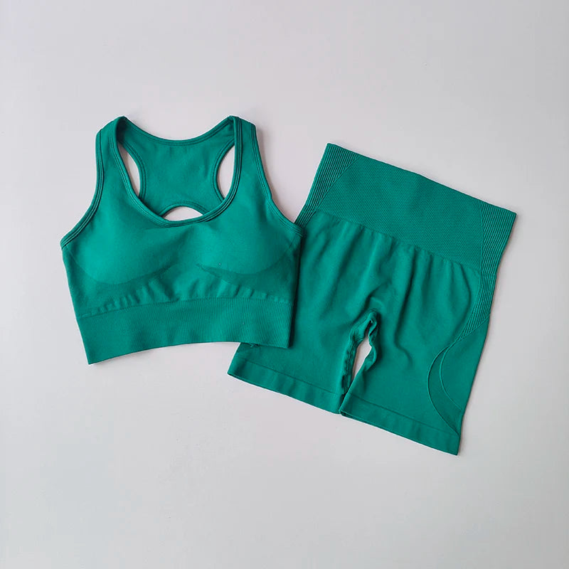2PCS Women’s Seamless Sports Set